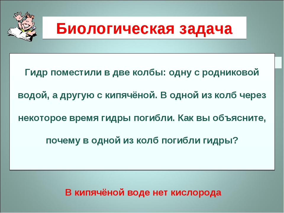 Кракен не приходят деньги