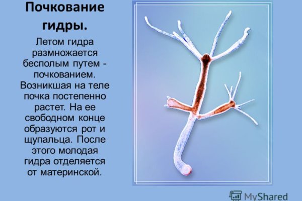 Как восстановить аккаунт в кракен